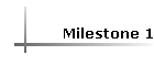 Milestone 1